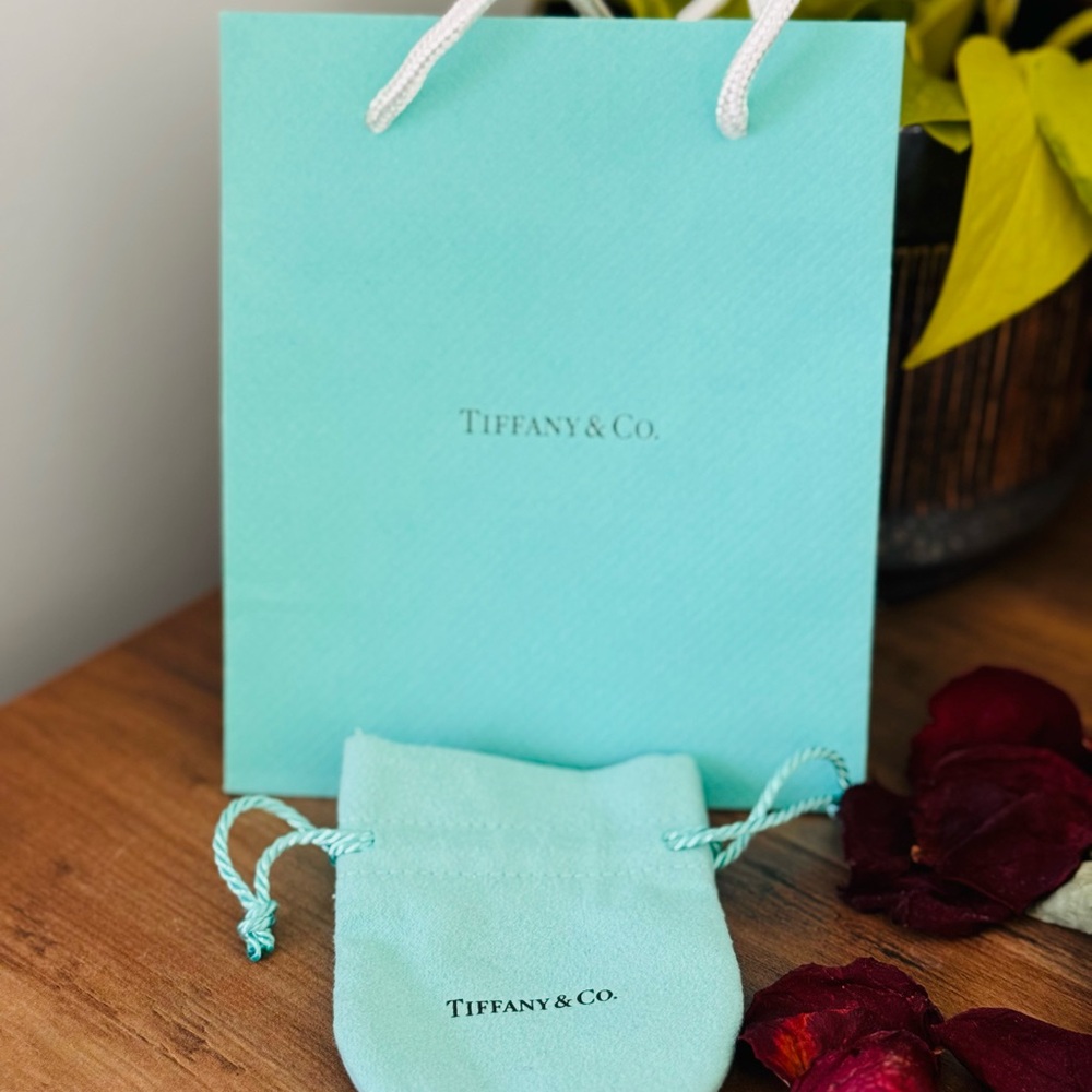 Tiffany & Co. Iconic Blue Bag and Pouch Set